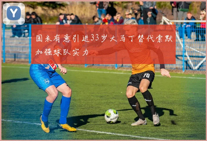 国米有意引进33岁大马丁替代索默加强球队实力