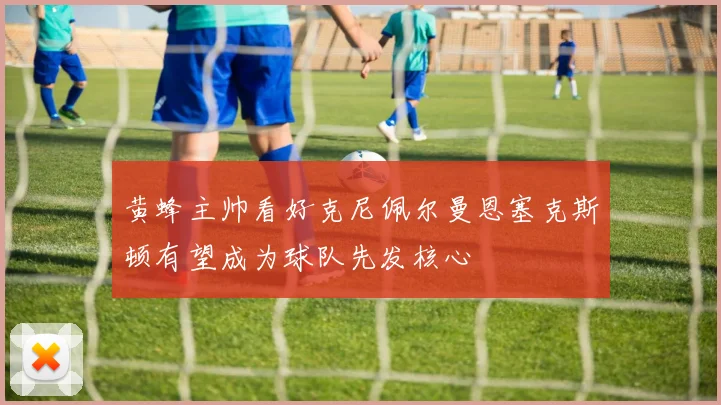黄蜂主帅看好克尼佩尔曼恩塞克斯顿有望成为球队先发核心