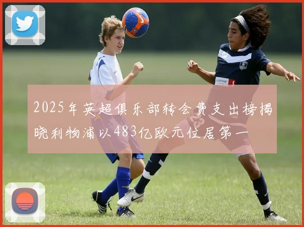 2025年英超俱乐部转会费支出榜揭晓利物浦以483亿欧元位居第一